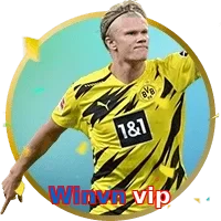 Winvn vip